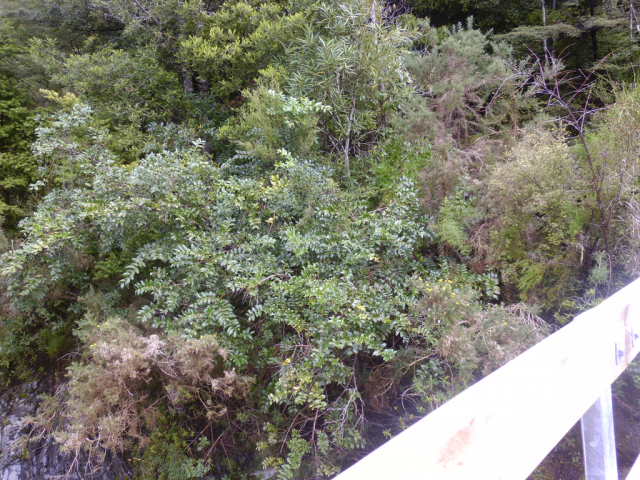 2012-04-27 13.14.01 2012-04-27 13.14.01